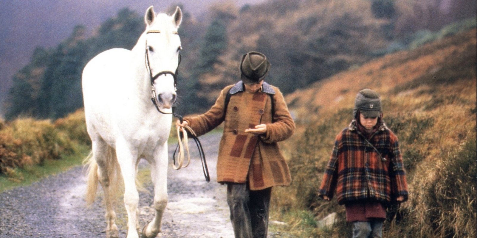 Das weiße Zauberpferd