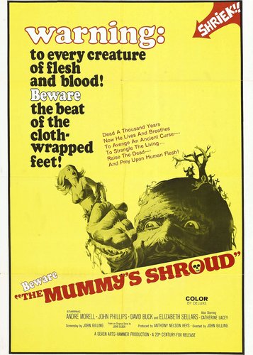 Der Fluch der Mumie - Poster 1
