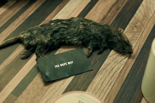 Good Luck, Have Fun, Don't Die - Szenenbild 21