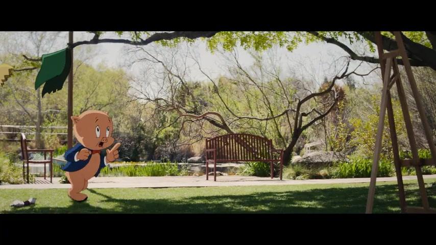 Coyote vs. Acme - Trailer - Deutsch - SD