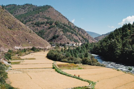 Agent of Happiness - Wo das Glück zu Hause ist - Szenenbild 13