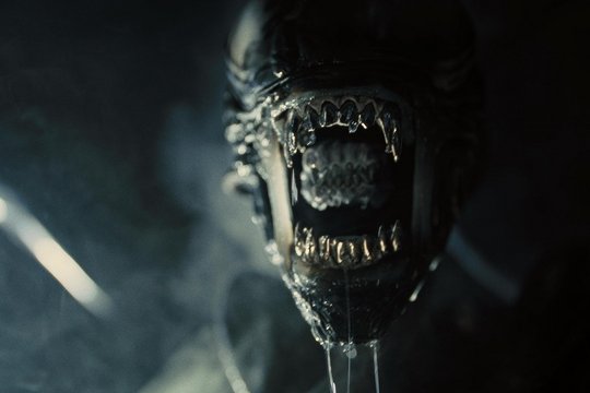 Alien - Romulus - Szenenbild 9
