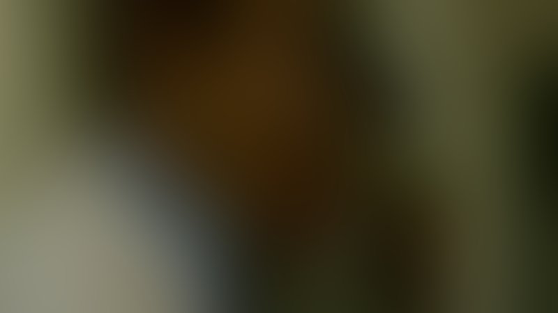 Zombie Strippers - Trailer - Englisch - SD