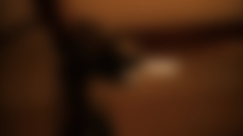 Feed - Trailer - Englisch - SD