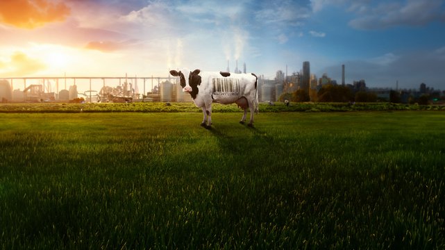 Food, Inc. 2 - Wallpaper 1