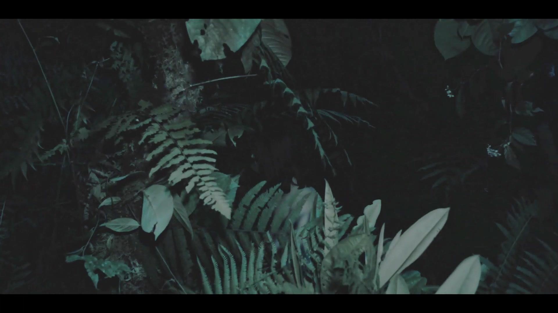 The Devil's Teardrop - Trailer - Englisch - HD