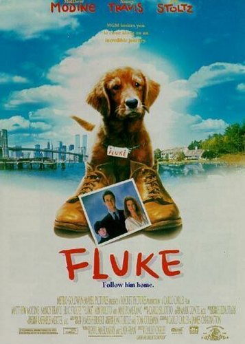 Fluke - Poster 3