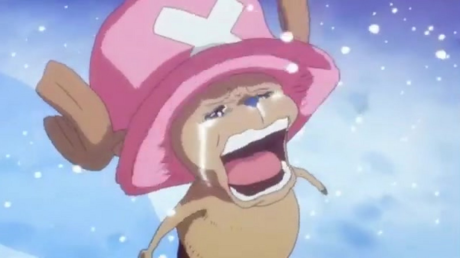 Chopper Und Das Wunder Der Winterkirschblüte Stream www.videobuster.de