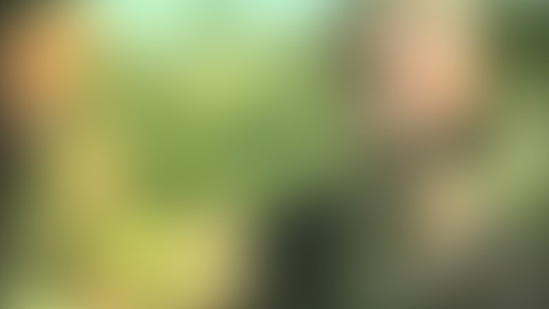 Bachelor Party Massacre - Trailer - Deutsch - SD