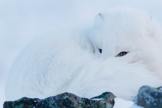 Frost ohne Schnee und Eis - Szenenbild 7