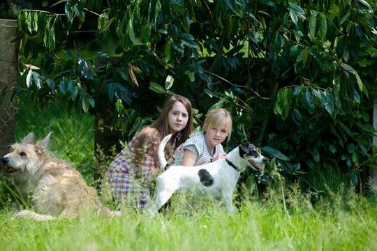 Tiere bis unters Dach - Staffel 3 - Szenenbild 1