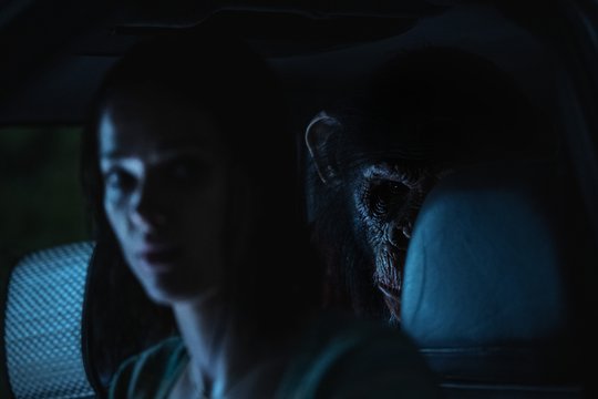 Primate - Szenenbild 1