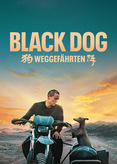 Black Dog - Weggefährten