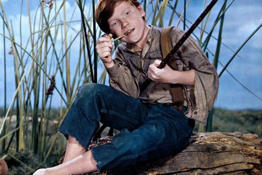 Huckleberry Finn - Abenteuer am Mississippi - Szenenbild 3