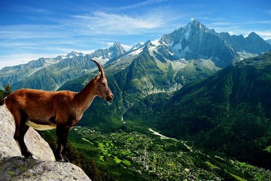 Alpen 3D - Das Paradies Europas - Szenenbild 1