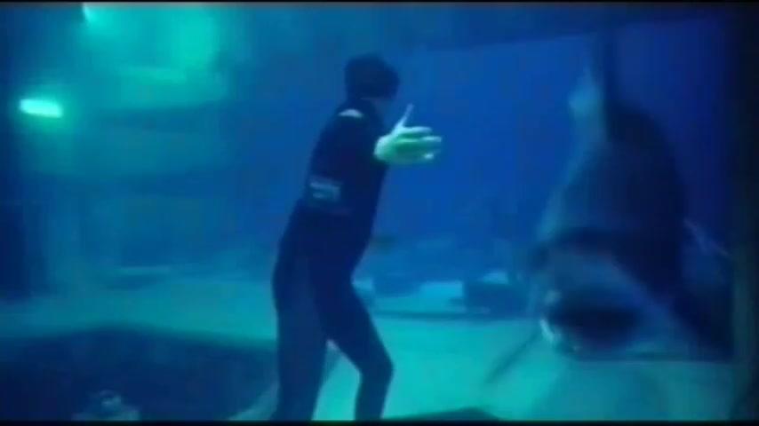 Deep Blue Sea - Teaser - Deutsch - SD