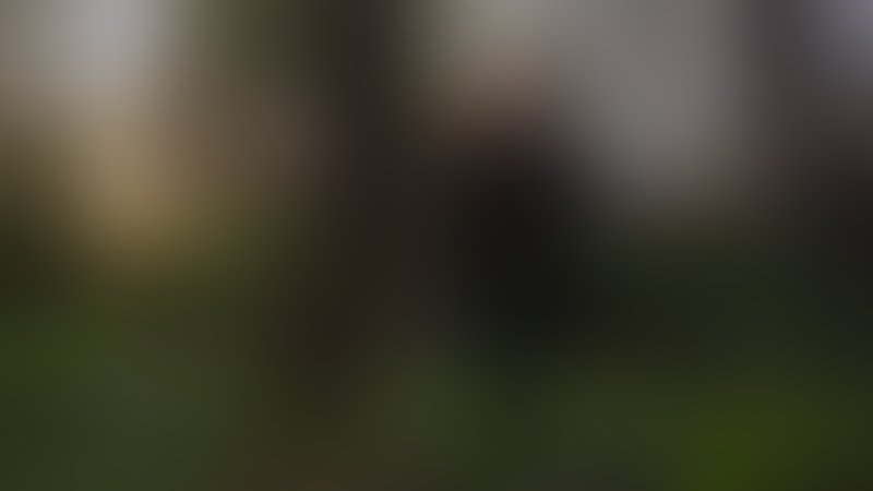 Manhattan Baby - Amulett des Bösen - Trailer - Englisch - SD