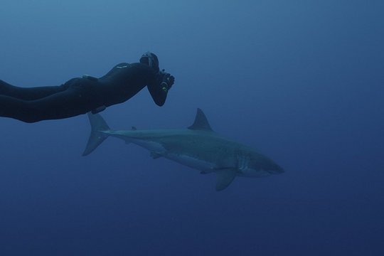 Under the Sea - Szenenbild 5
