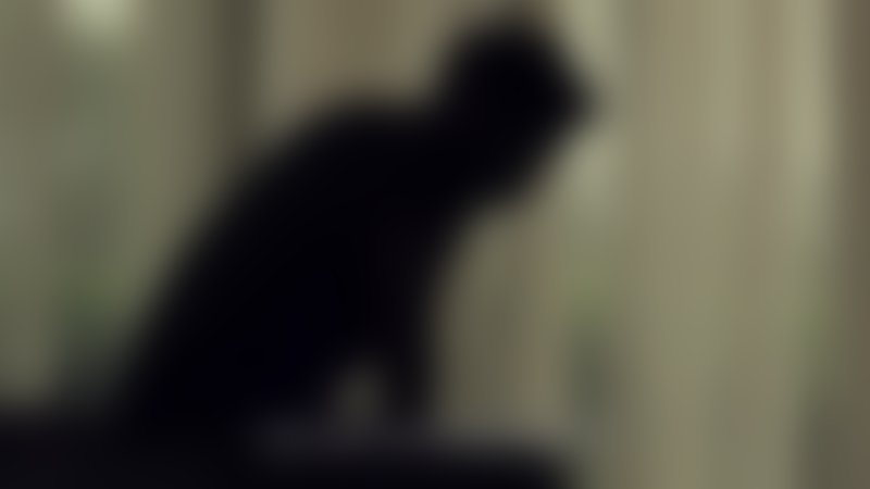 Horseplay - Trailer - Deutsch - SD