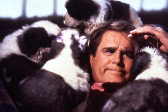 Beethoven 2 - Eine Familie namens Beethoven - Szenenbild 3