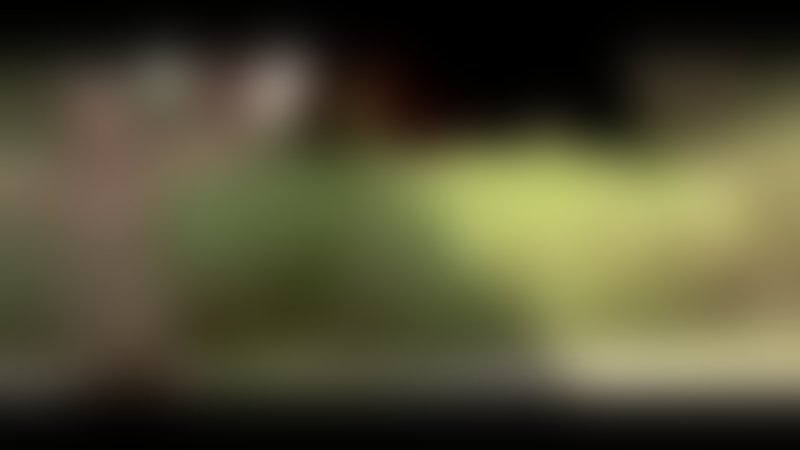 The Devil's Dolls - Trailer - Englisch - SD