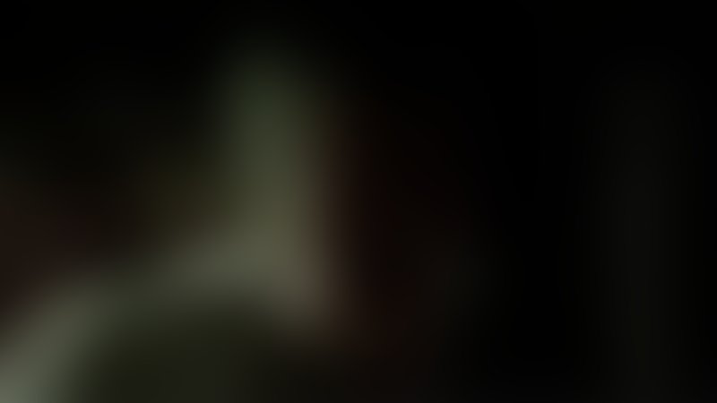 Pigs - Slaughter Farm - Trailer - Englisch - SD