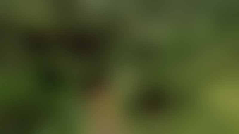 Snakes on a Train - Snake Hell - Trailer - Englisch - SD