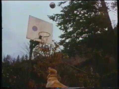 Air Bud - Champion auf vier Pfoten - Trailer - Deutsch - SD