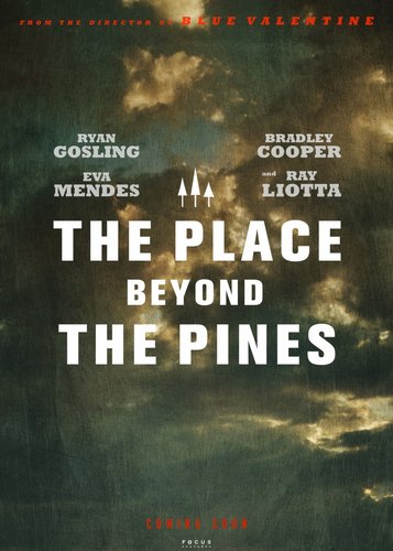 The Place Beyond the Pines - Poster 8