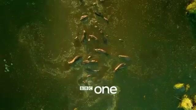 Unser grüner Planet - Trailer - Englisch - SD