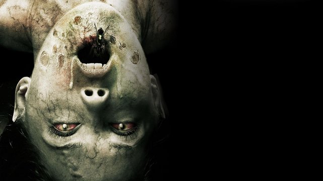 Molly Hartley 2 - The Exorcism - Wallpaper 1