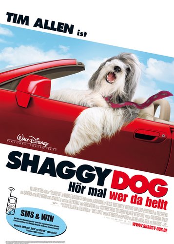 Shaggy Dog - Poster 1