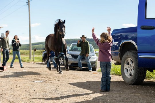 Heartland - Paradies für Pferde - Staffel 16 - Szenenbild 1