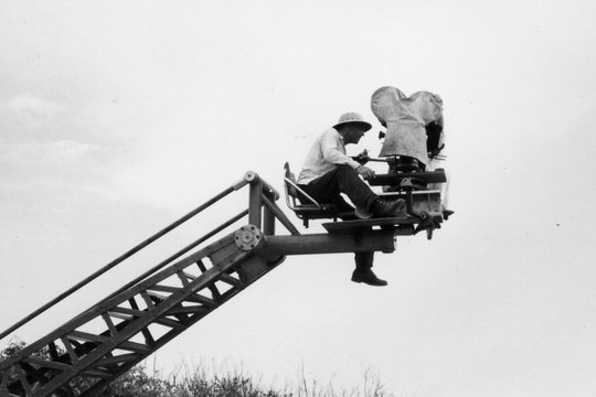 Buñuel - Filmemacher des Surrealismus - Szenenbild 1