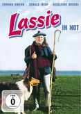 Lassie in Not