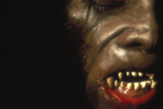 Howling II - Das Tier 2 - Szenenbild 15
