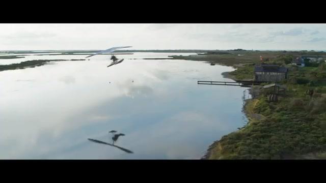 Der Junge und die Wildgänse - Trailer - Französisch - SD