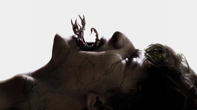 Shaman - Wallpaper 1