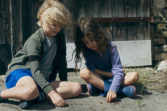 Zikaden - Szenenbild 4