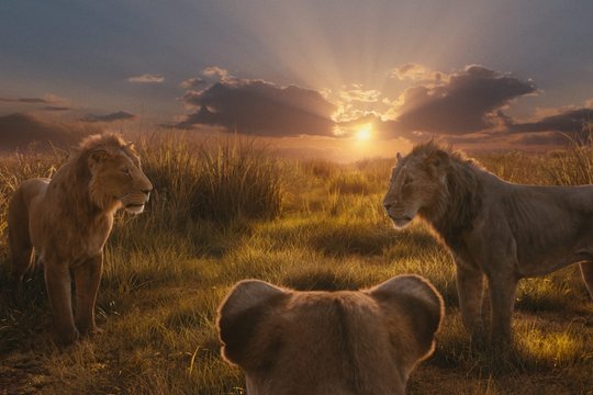 Mufasa - Der König der Löwen - Szenenbild 13