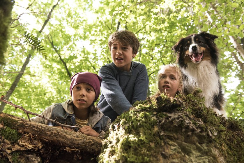 Fünf Freunde Im Tal Der Dinosaurier Fünf Freunde Im Tal Der Dinosaurier