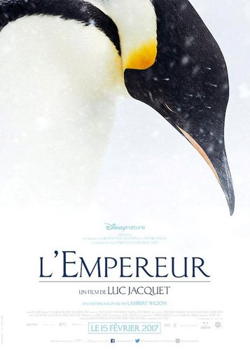 Die Reise der Pinguine 2 - Poster 2