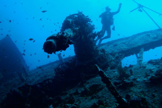 Dive 3D - Leben im Schiffswrack - Szenenbild 1
