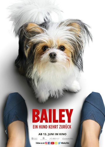 Bailey 2 - Ein Hund kehrt zurück - Poster 5