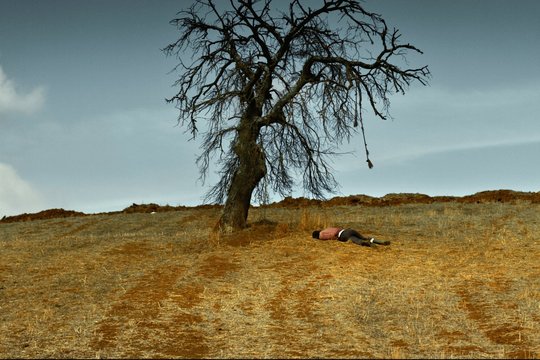 The Wild Pear Tree - Der wilde Birnbaum - Szenenbild 3