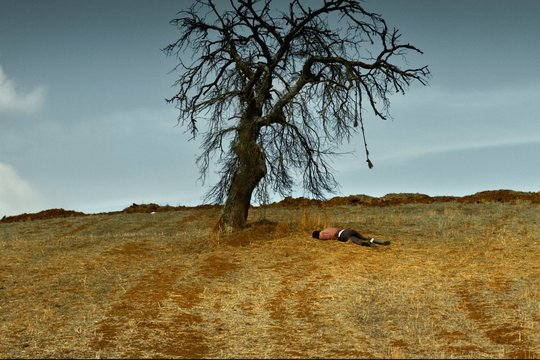 The Wild Pear Tree - Szenenbild 3