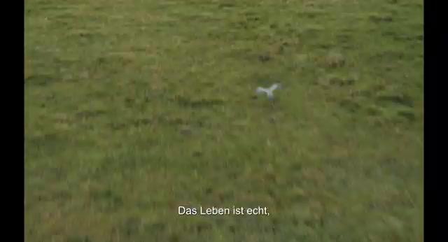 H wie Habicht - Trailer - Deutsch - SD