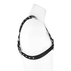 Bodyharness