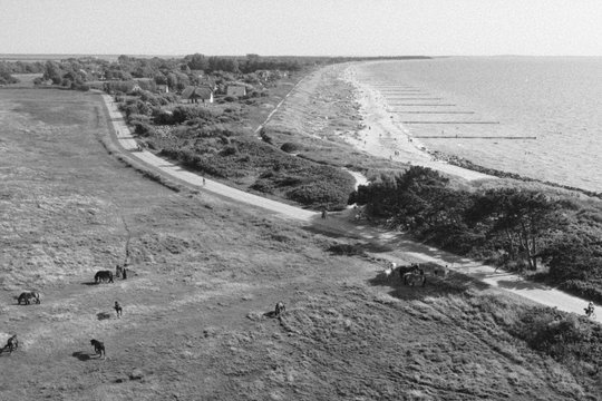 Hiddensee - Szenenbild 2