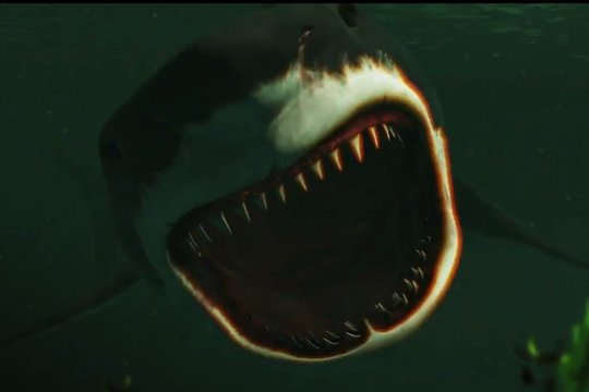 Bull Shark - Szenenbild 1